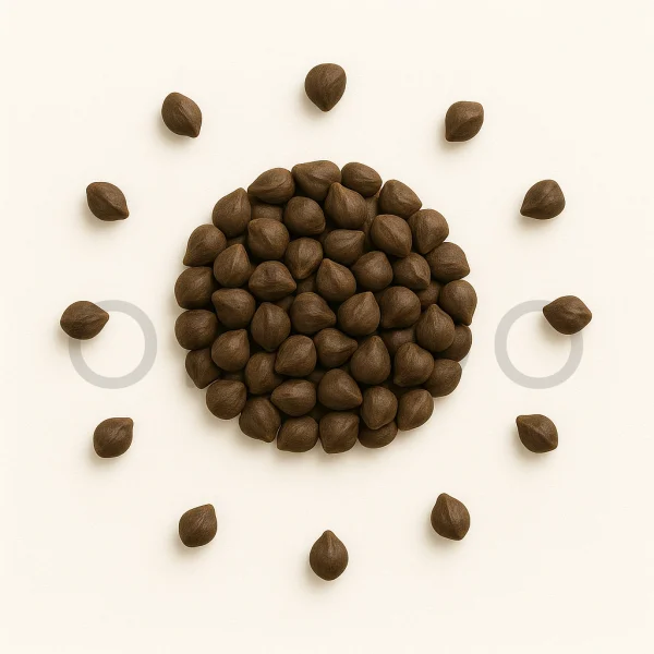 Hawaiian Baby WoodRose Seeds - HBWR | Morning Glory